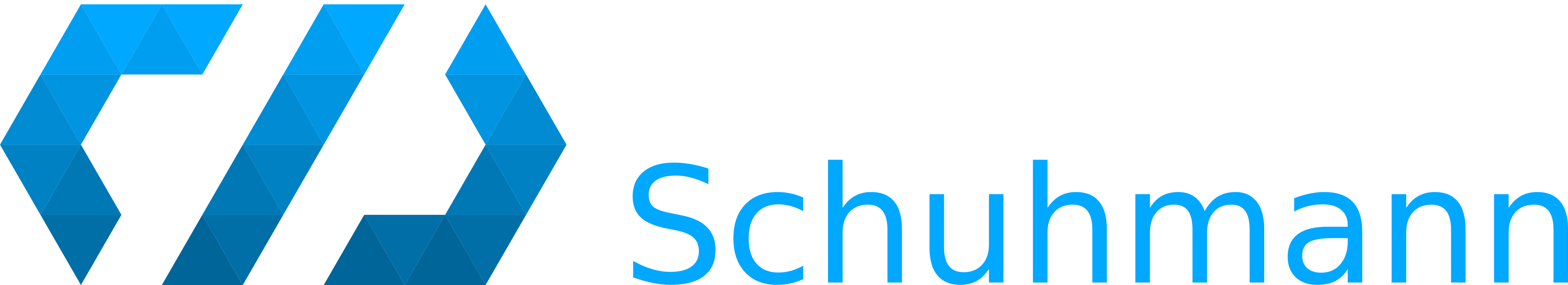 IT-Service Schuhmann